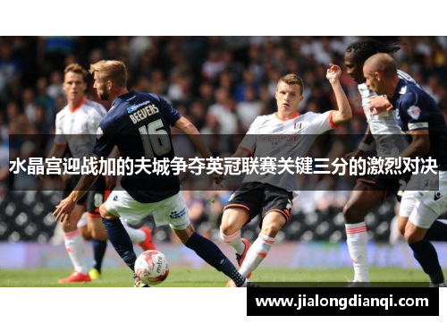 水晶宫迎战加的夫城争夺英冠联赛关键三分的激烈对决